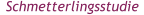 Schmetterlingsstudie