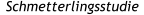 Schmetterlingsstudie