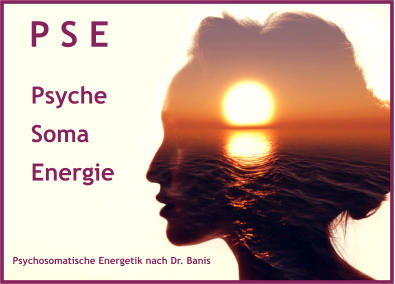 P S E Psyche Soma Energie Psychosomatische Energetik nach Dr. Banis